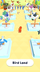 鸟类大陆Bird Land