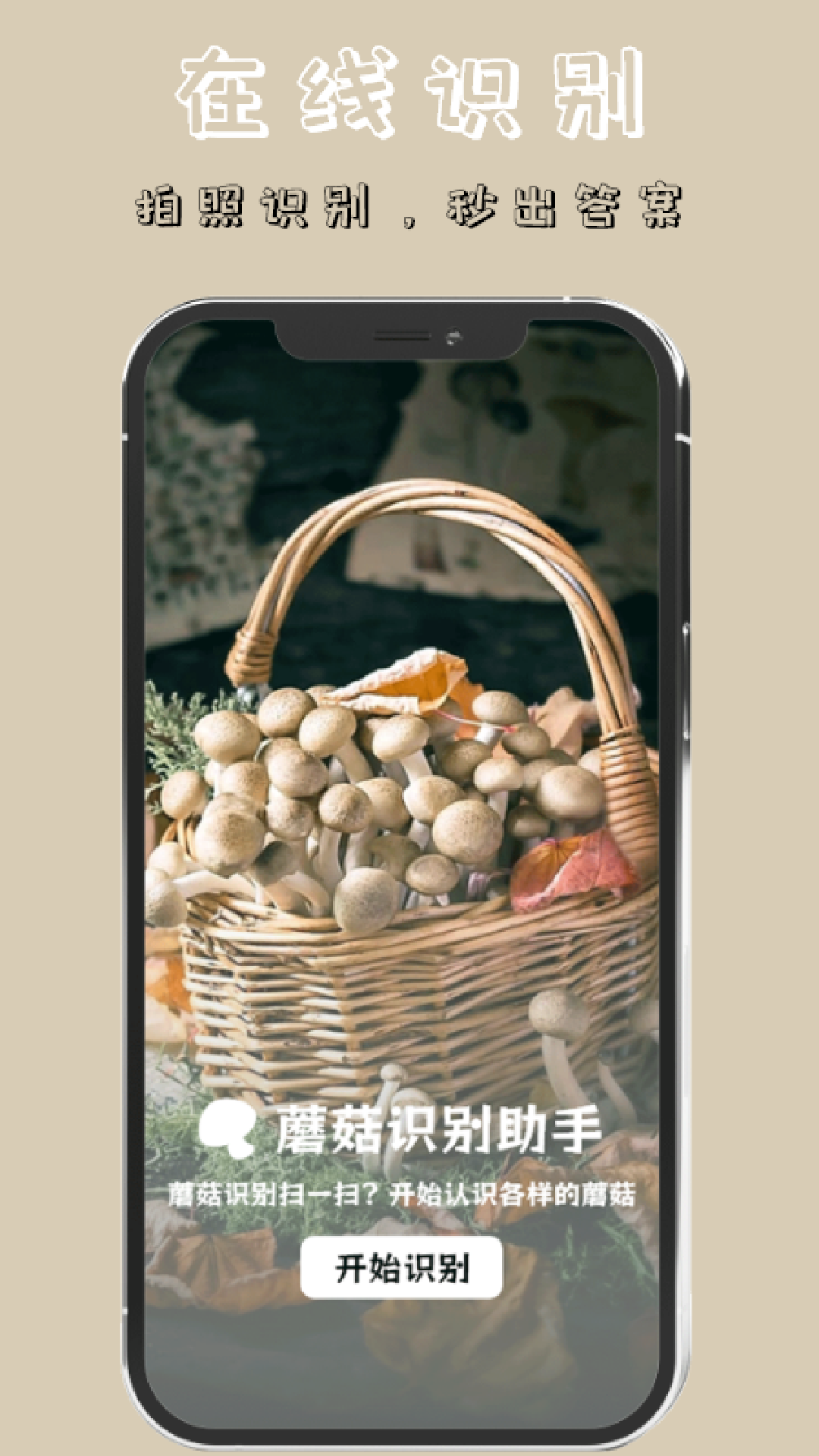蘑菇识别