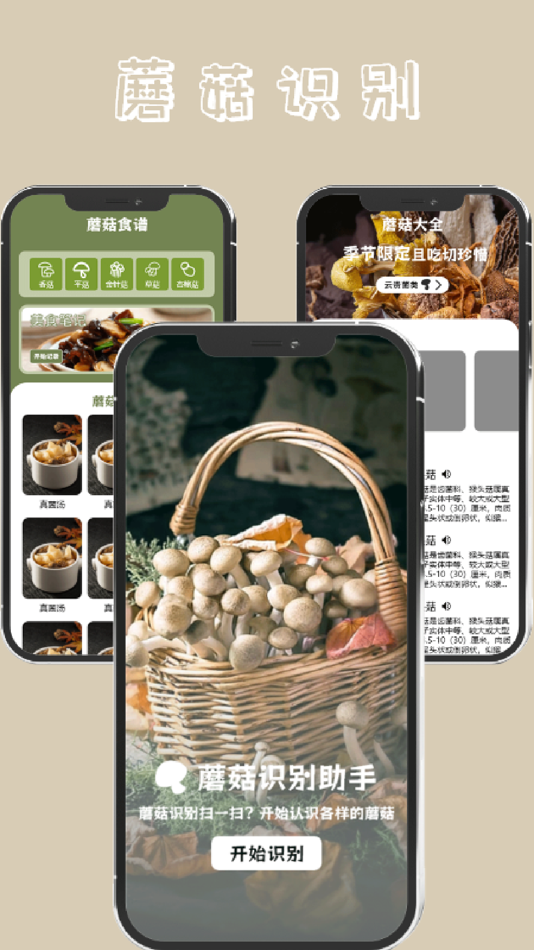 蘑菇识别
