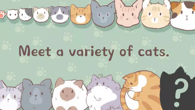 天降猫雨RainingCats
