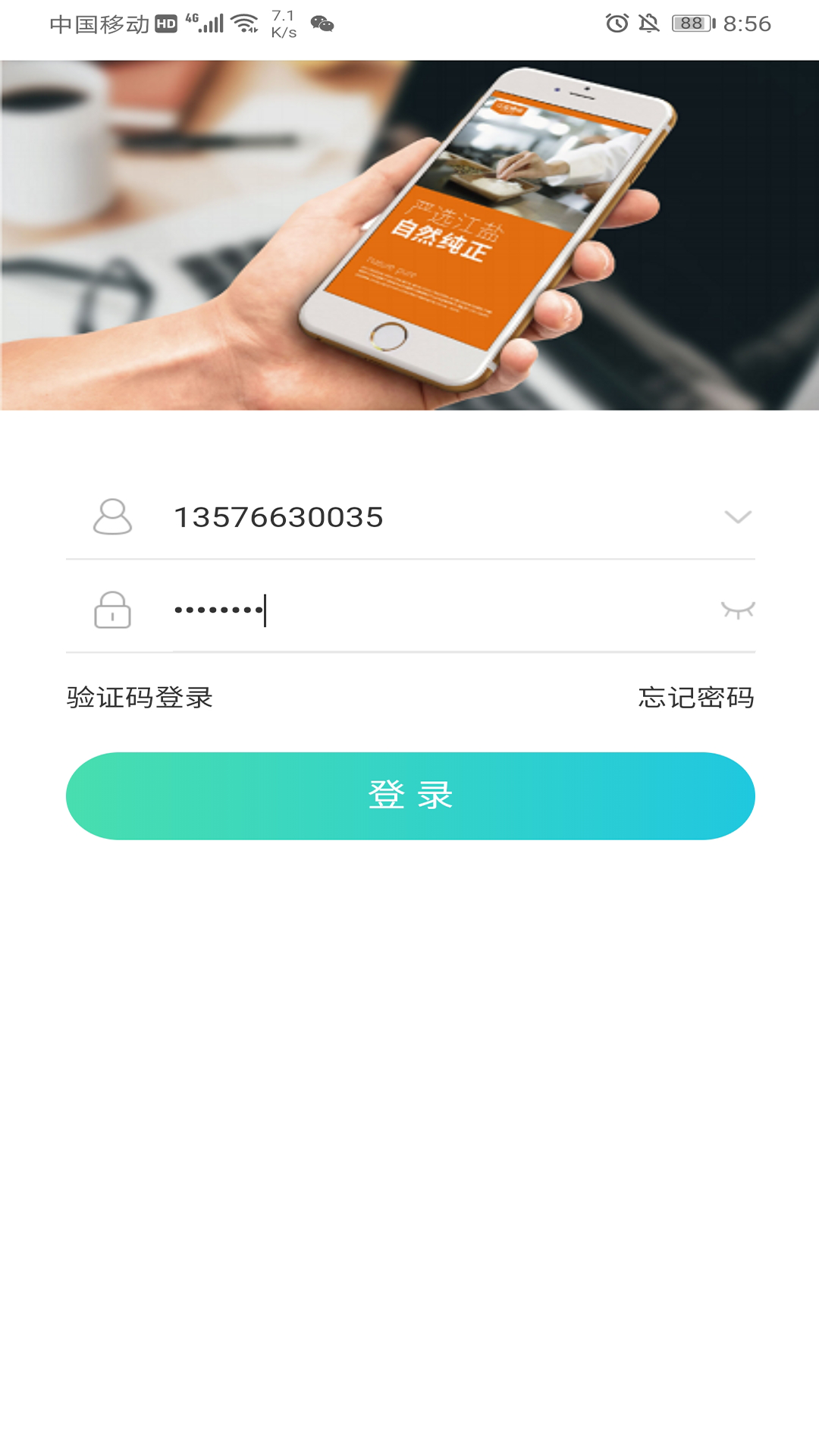 老盐帮