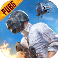 pubg国际服2.9版本（PUBG MOBILE）