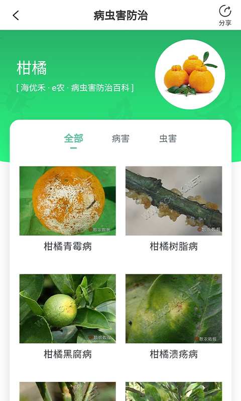 海优禾e农