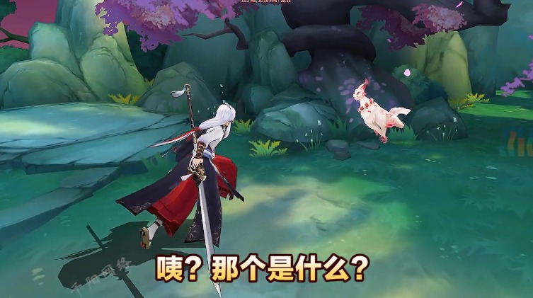 卿云恋歌