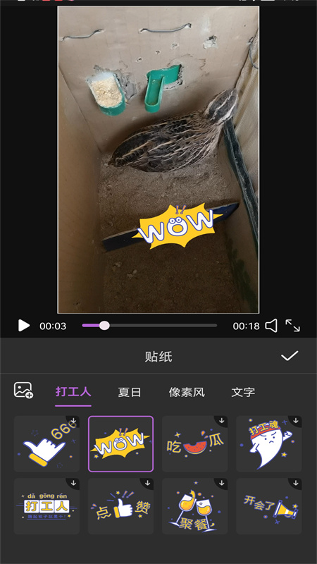 VideoEditorMyIE®️