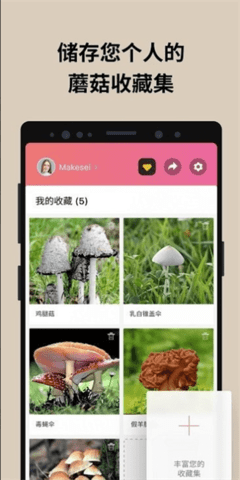 蘑菇识别