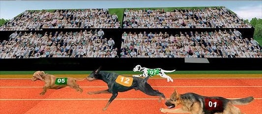 赛狗宠物赛跑模拟器（Dog Racing Pet Race Simulator）