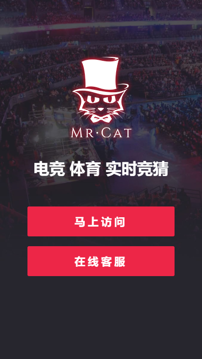 MrCat电竞 MrCat电竞