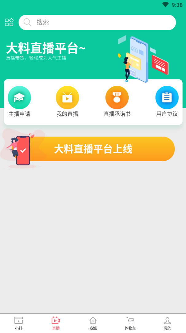 大料小视频