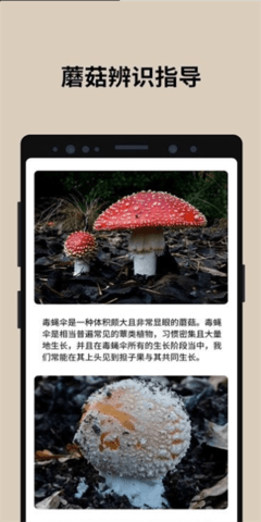蘑菇识别
