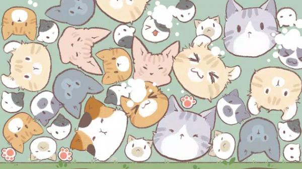 天降猫雨RainingCats