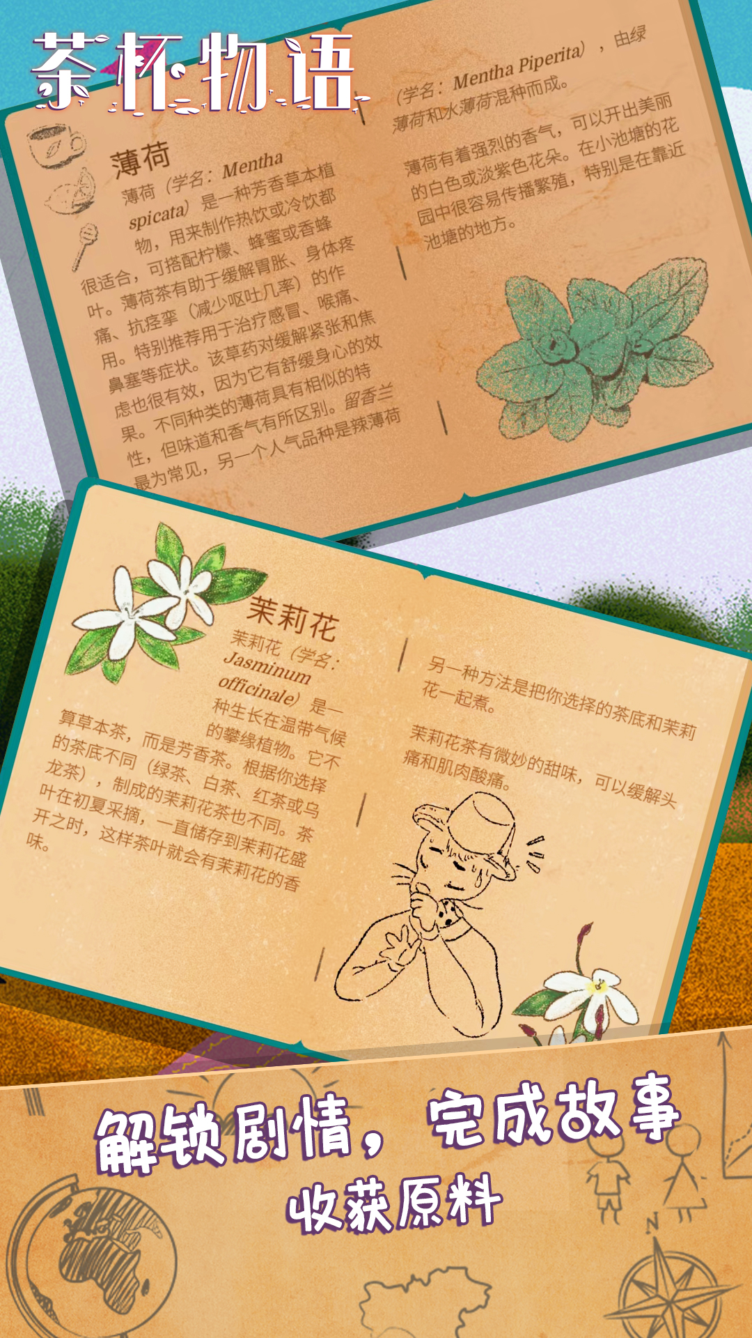 茶杯物语
