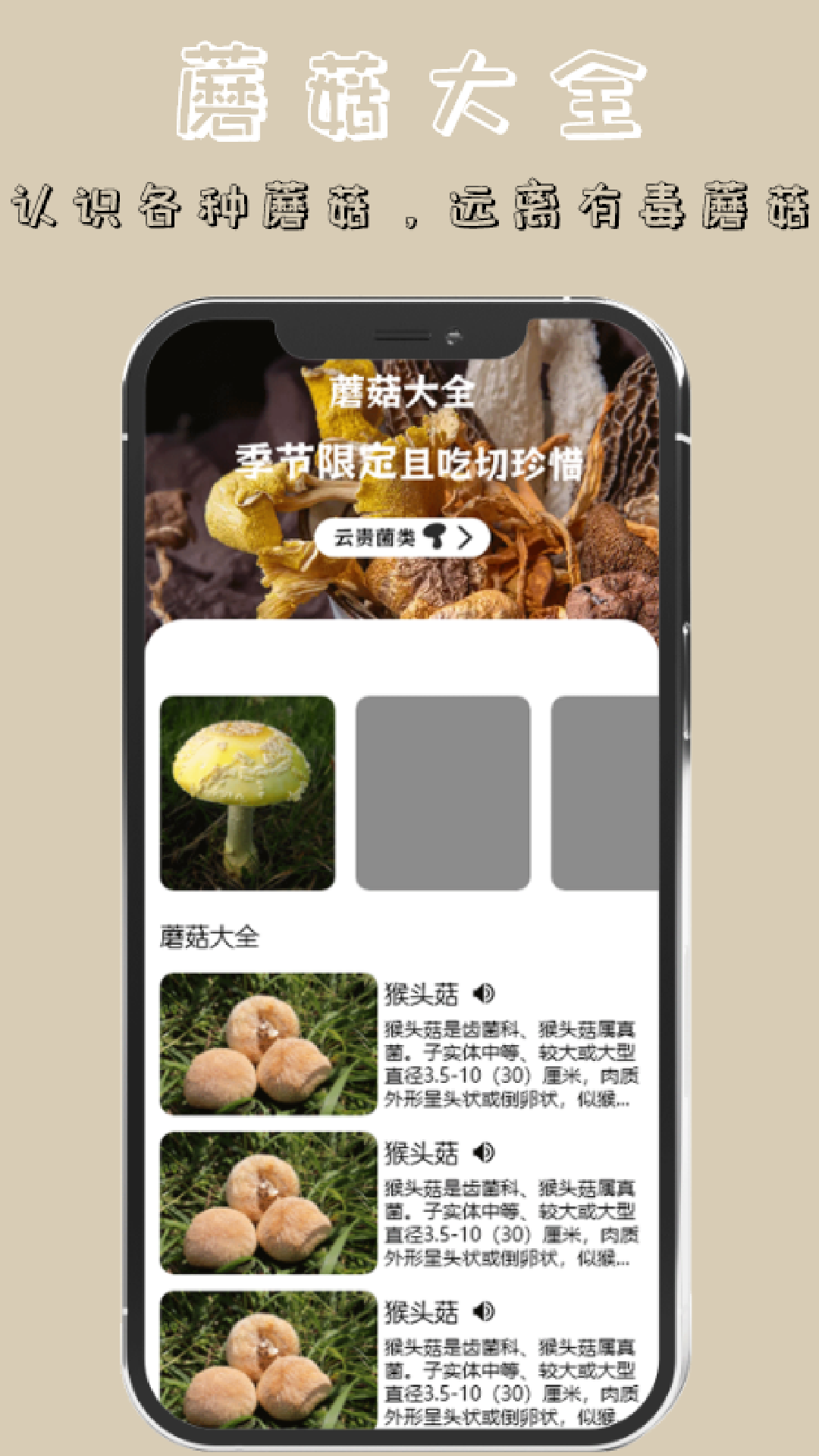 蘑菇识别