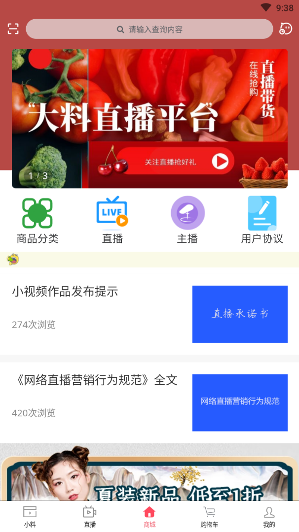 大料小视频