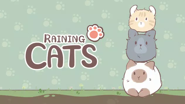 天降猫雨RainingCats