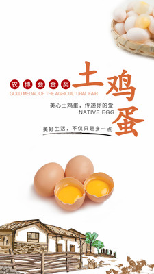美心土鸡蛋