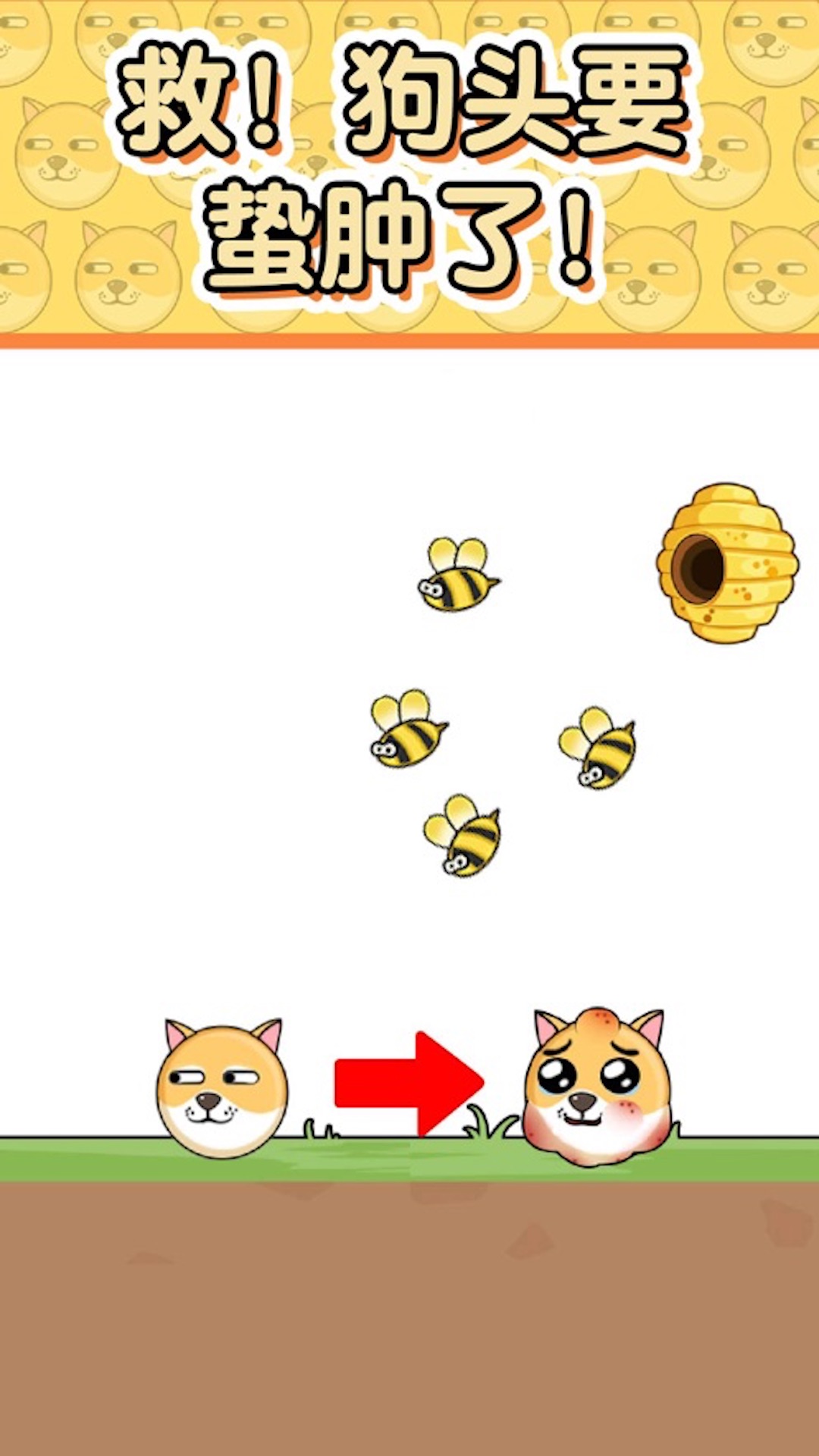 救救小动物
