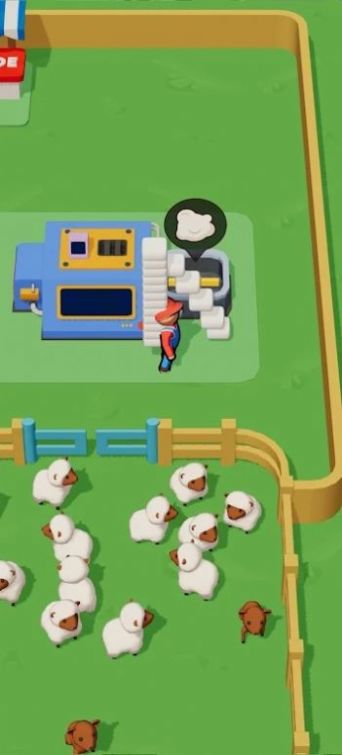 Sheep Farm – Wool Factory