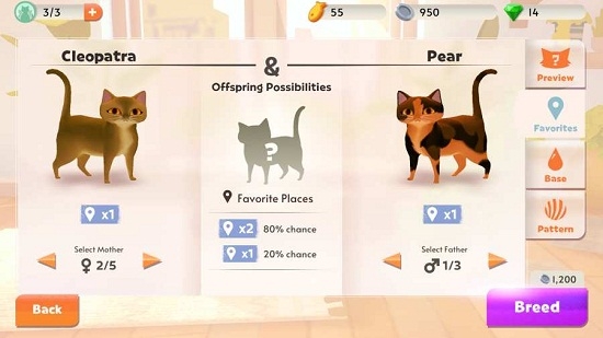 My Cat Club(我的猫舍游戏)