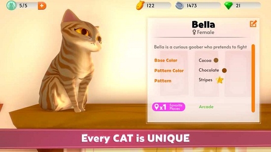 MyCatClub(我的猫舍游戏)