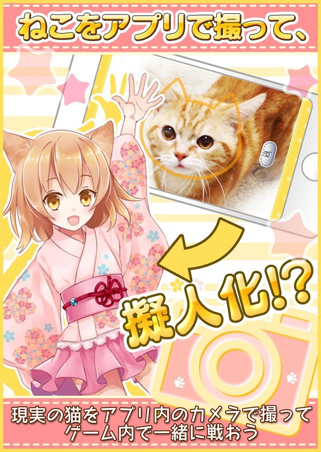 ねこさば！