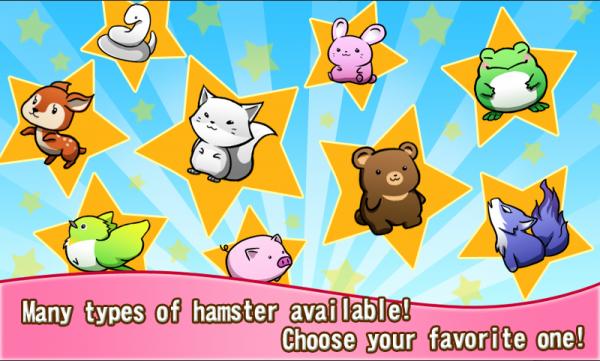 森林生活(Forest Life)