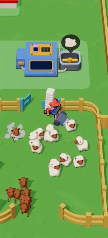 Sheep Farm – Wool Factory