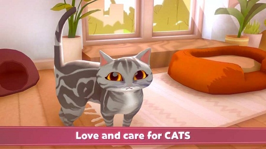 MyCatClub(我的猫舍游戏)