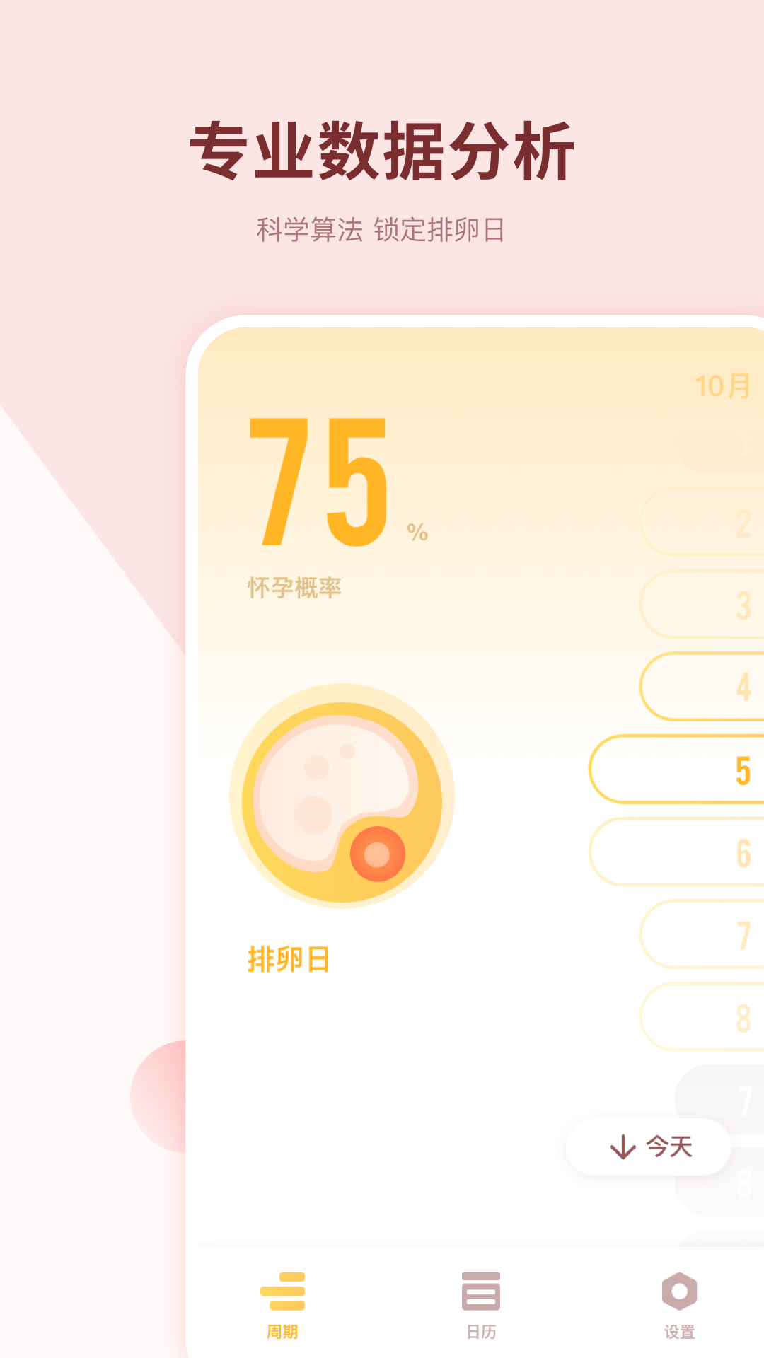 怀孕伴侣