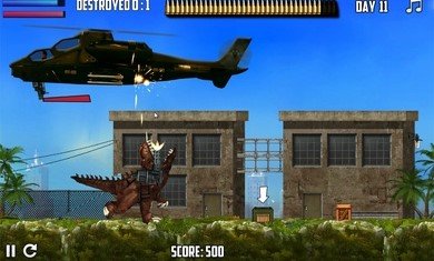 墨西哥雷克斯(Mexico Rex)