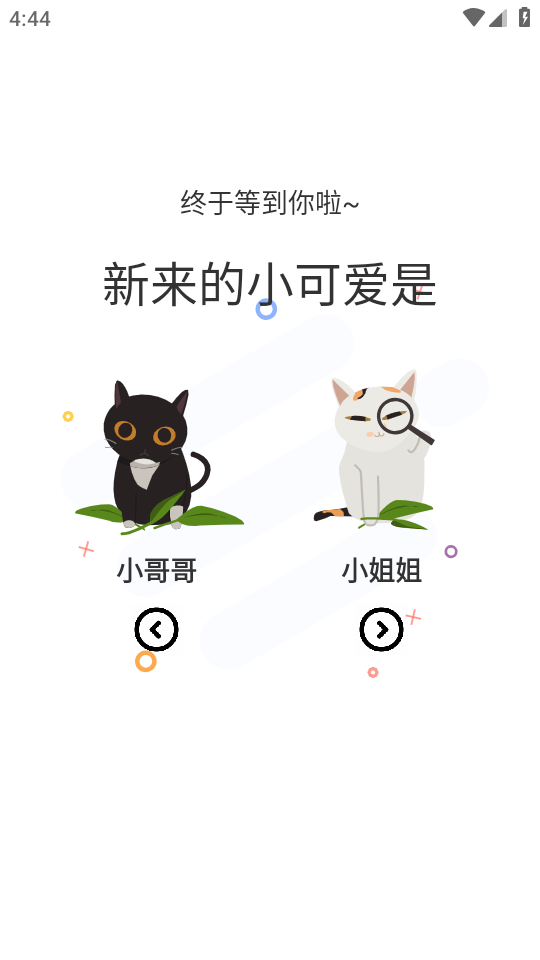 喵上