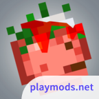 布娃娃游乐场自带模组