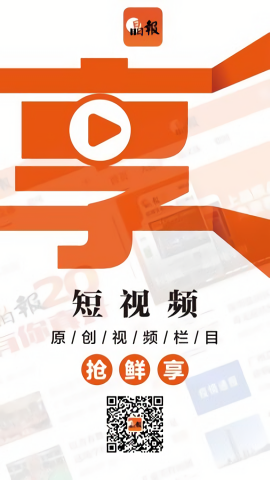 晶报 晶报