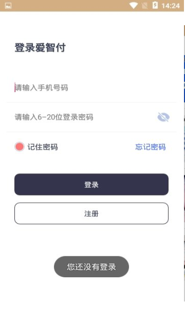 爱智付