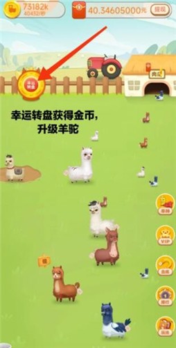 全民养羊驼