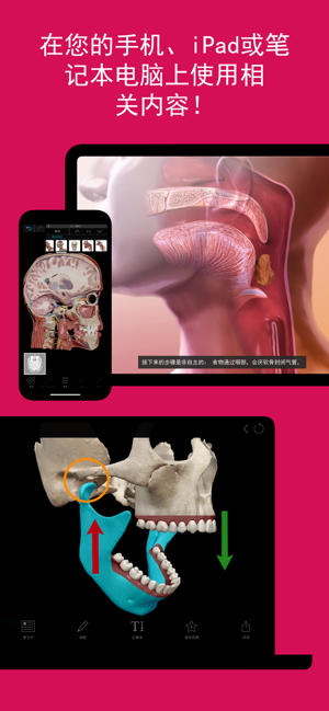 3D人体解剖学图谱2024最新版(Visible Body Suite)