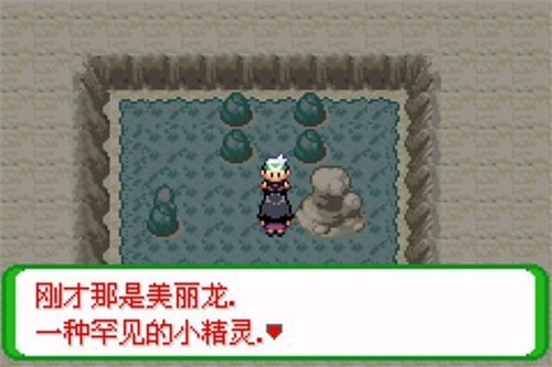 口袋妖怪空之花神正版