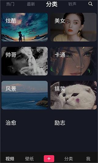 灵猫壁纸