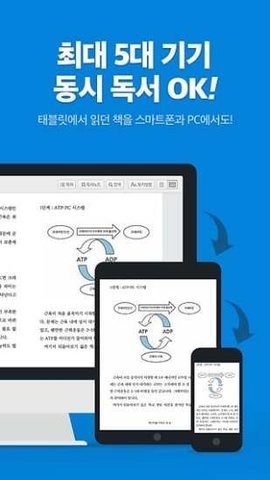 리디