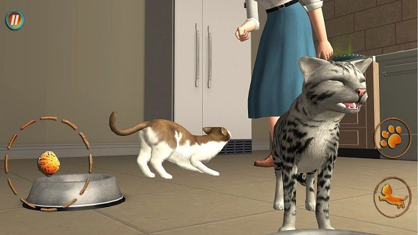 猫咪想恋爱 猫咪想恋爱