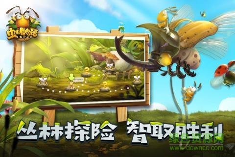 虫虫物语