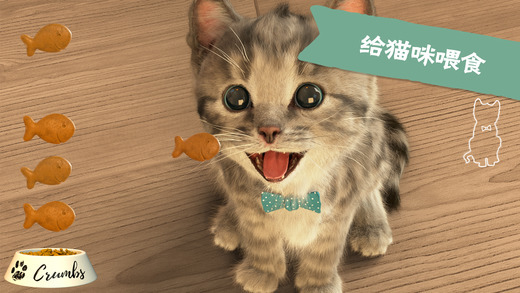 littlekitten中文版