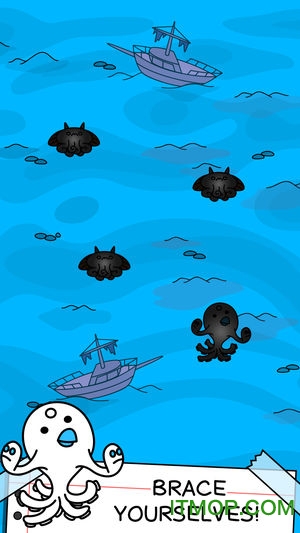 章鱼的进化中文版