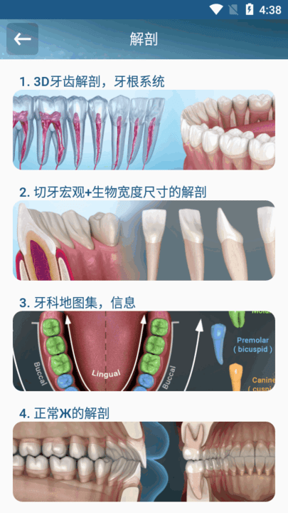 牙科3D图解学习软件(Dental Illustrations)