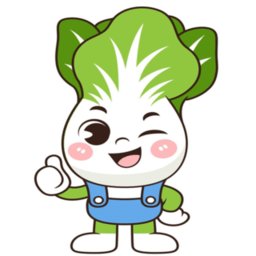 蔬采网平台官方版