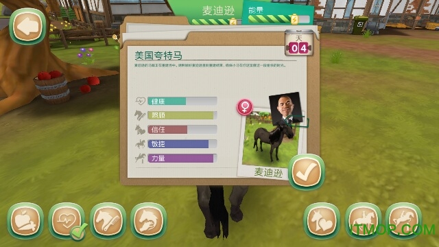 照顾马匹内购破解版(Horse Hotel Premium)