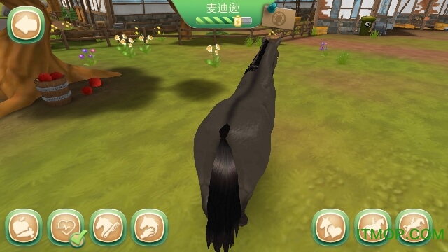 照顾马匹内购破解版(Horse Hotel Premium)