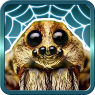 蜘蛛大乱斗SpiderBattles ft. GagamGirl