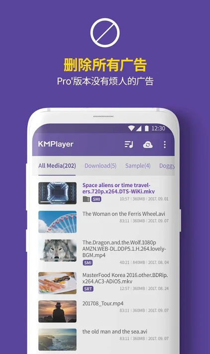 KMPlayer播放器清爽版