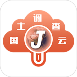 国土调查云在线监管